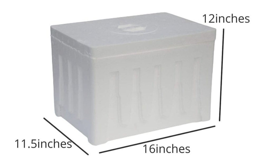 20 Ltr EPS BOX, Rectangle, Packaging Type: Thermocol Type