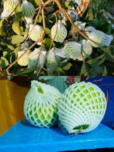 Fruit Net, For Packaging