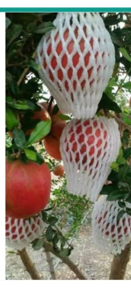 White Epe Foam Fruit Net, Packaging Type: Boro
