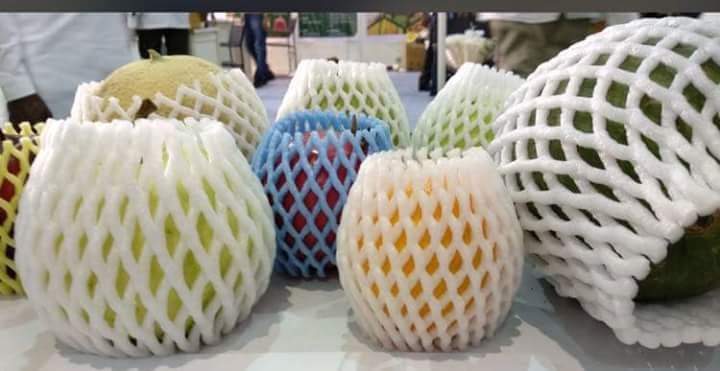 Apple Fruit Foam Net, Packaging Type: Bag Packing