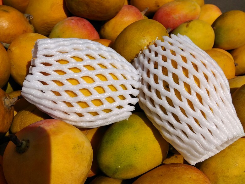VINAYAK Mango Foam Net, Size: 70x100