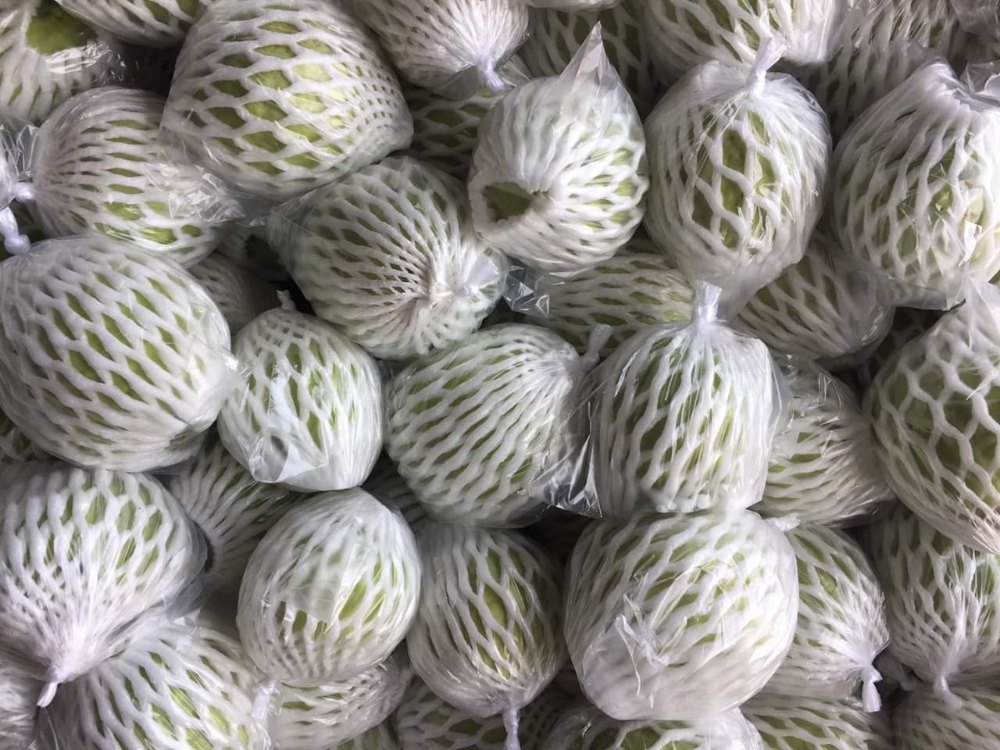 Fruit Foam Net