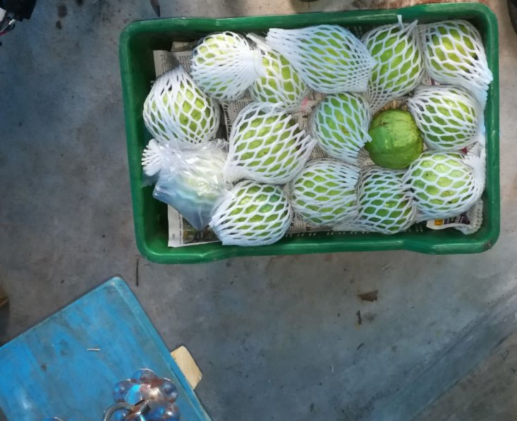 EPE Foam Net