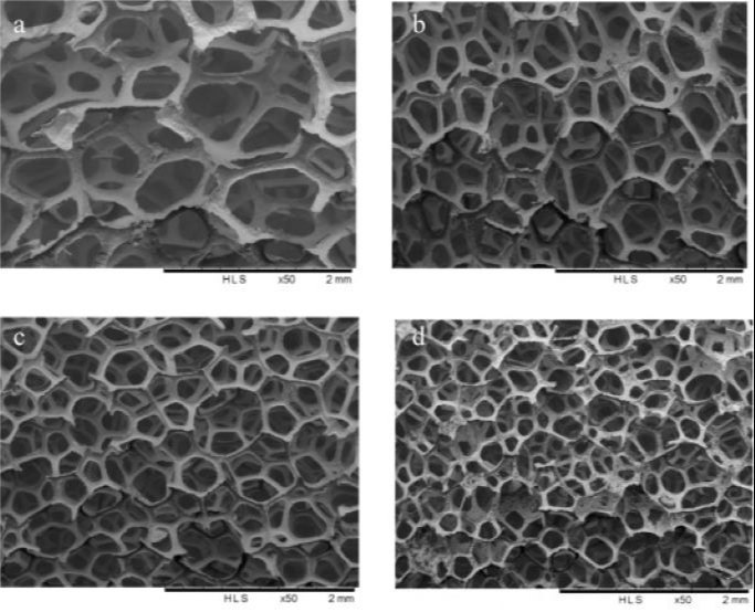 Nanochemazone RVC Carbon Foam, For Laboratory