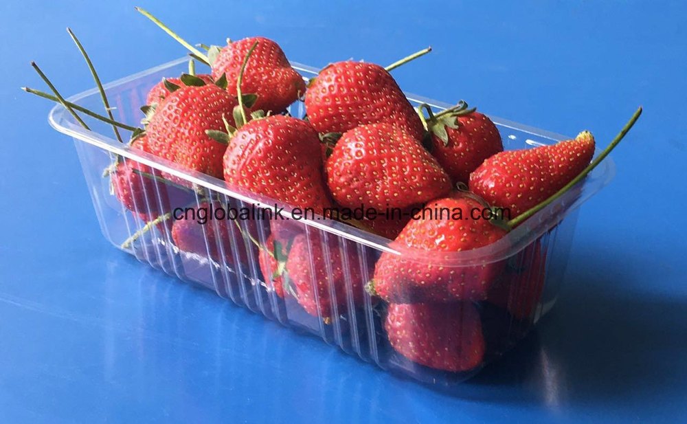 PET Rectanglular Plastic Transparent Blister Tray, Thickness: 0.5MM