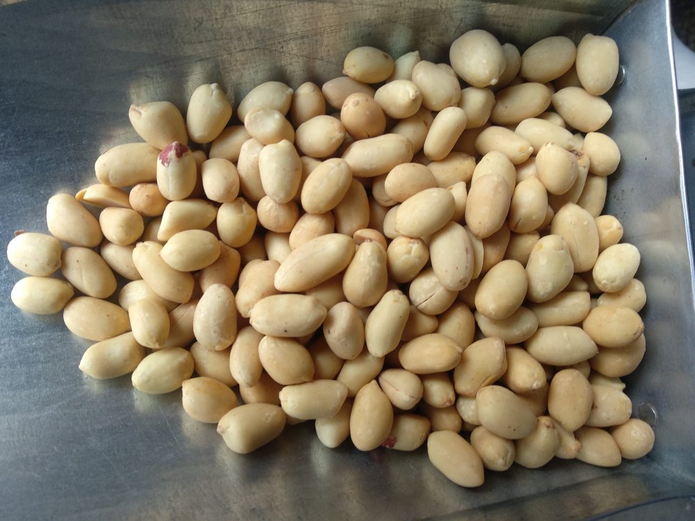 Packed Dry Roasted Blanched Peanut, Packaging Type: Vacuum Bag