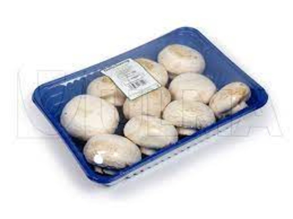 Rectangle PVC Mushroom Packing Tray, Capacity: 200gms