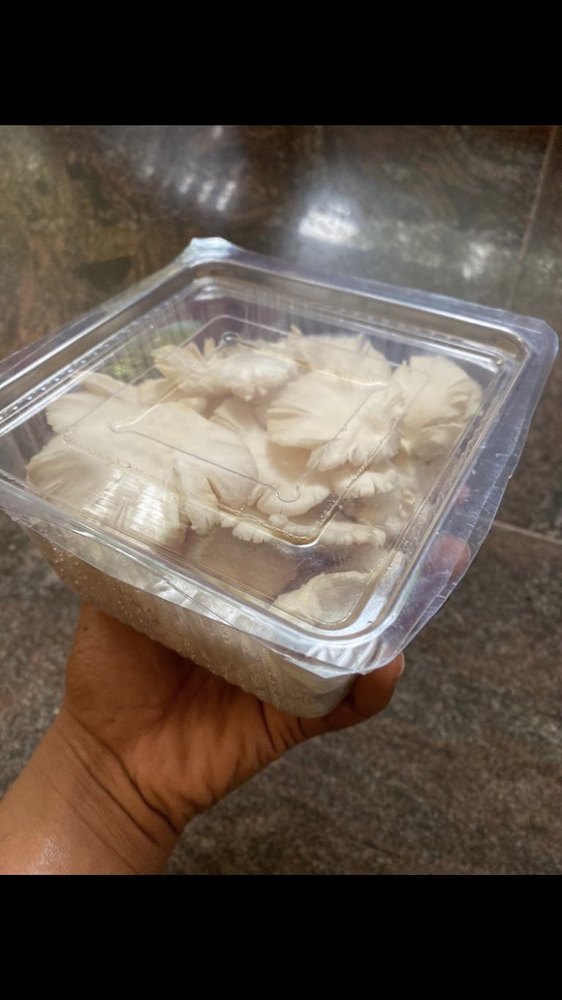 Capacity: 200gms Oyster Mushroom Tray