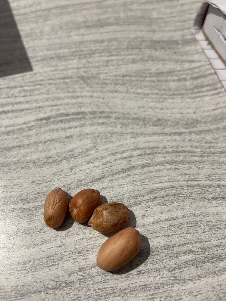 Crunchy Coated Peanuts, Packaging Type: Vacuum Bag