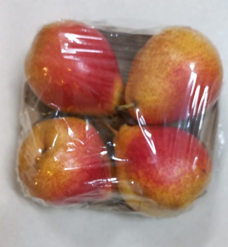 Square Paper Pulp Apple Trays 4 No\'s