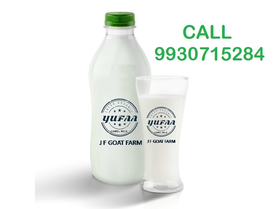 Camel Milk, Bottle