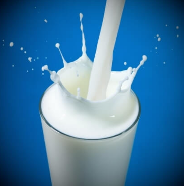 Organic Milk, Gurgaon, Dwarka, Packaging Type: Bottle