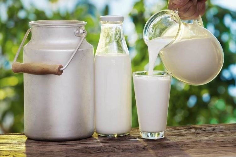 Ksheera Organics Organic Buffalo Milk, 500ml, Packaging Type: Packet