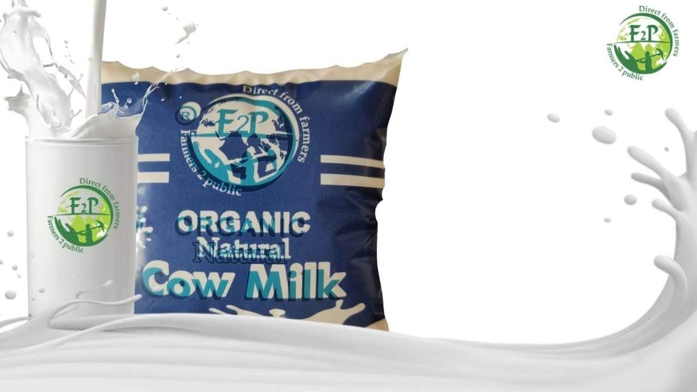 Bulk Fresh Cow Milk