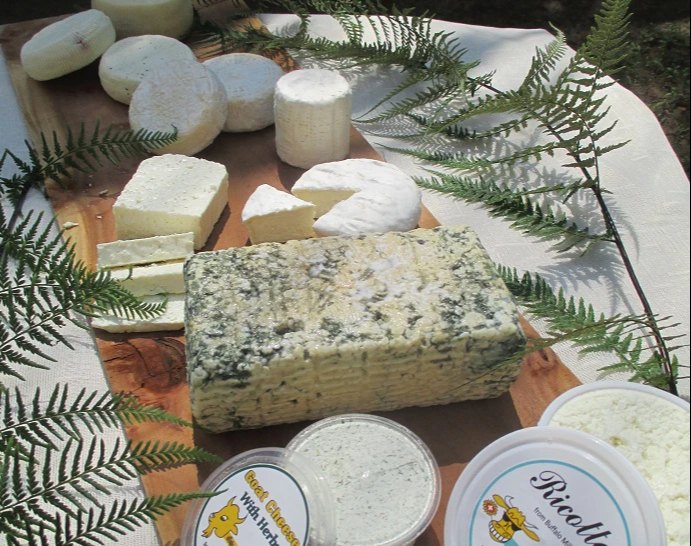 Brie Tomme