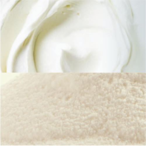Spray Dried Yogurt Powder