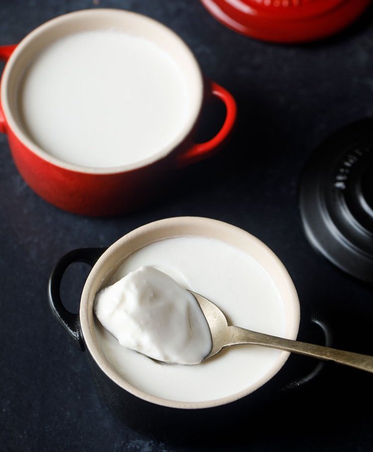 DAIRY INGREDIENTS CULTURE FOR DAHI, Flavor: NATURAL CURD TEST