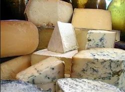 Dairy Ingredients Emzymes