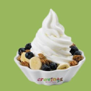 Frozen Yogurt