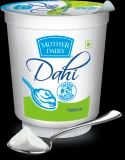Plain Dahi