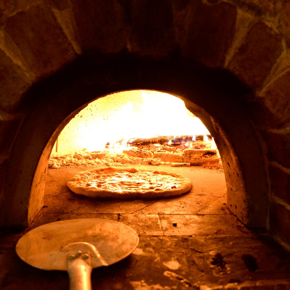 Bricks Gas Wood Fired Pizza Oven, Capacity: 100-500 Kg, Model Number/Name: WDF48W