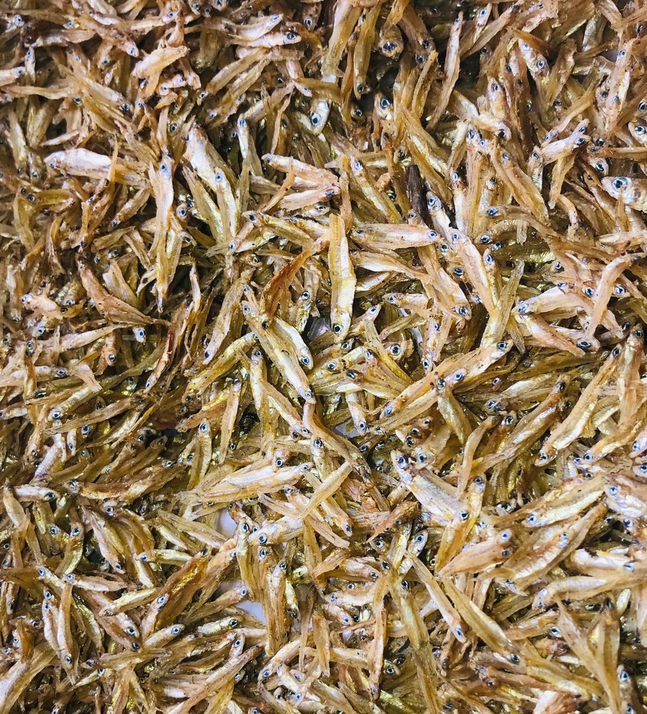 Anchovy Fish, For Restaurant, Packaging Type: Packet