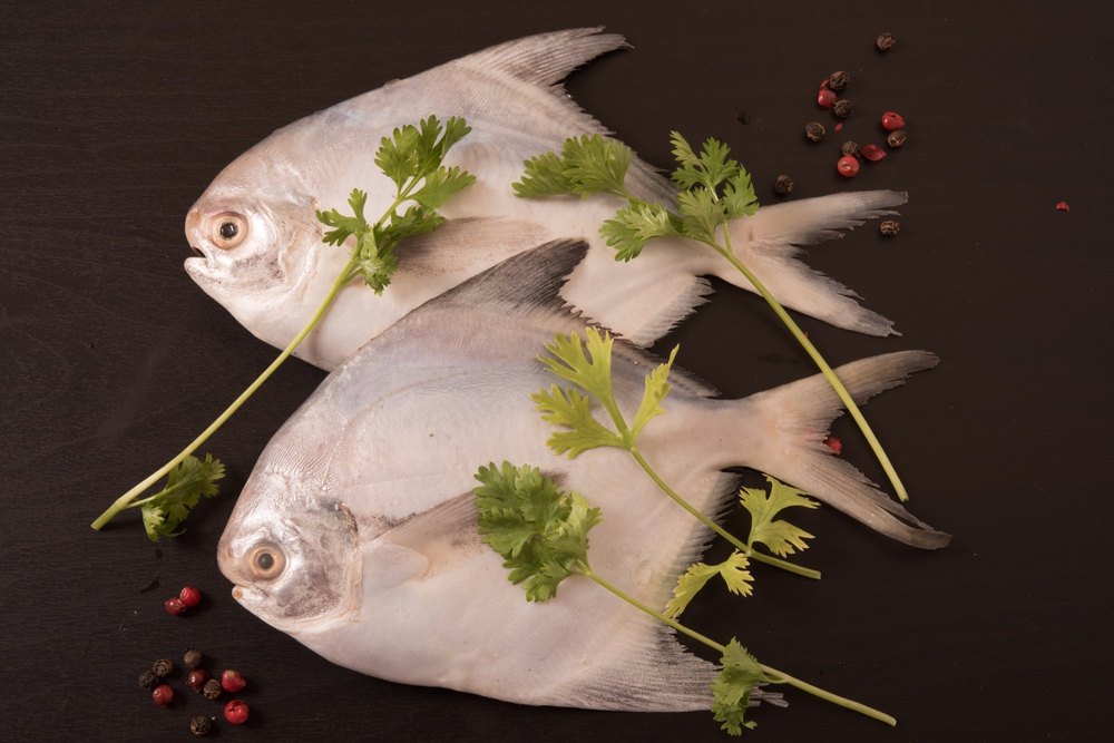 Silver Pomfret Fish 6PC / KG, For Food purpose, Packaging Type: 1KG, Also Available In 550gm