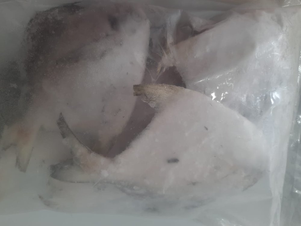 Frozen Pomfret, Packaging Size: 1 Kg
