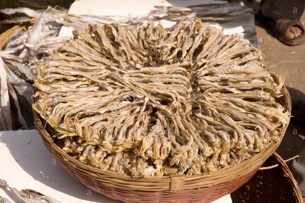 Dry Fish Bombay Duck Dry Fish
