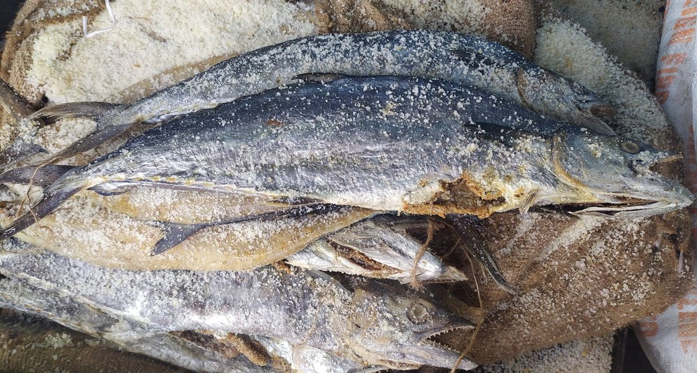 Fofizon Seer Dry Fish, White Salt, Packaging Type: Loose