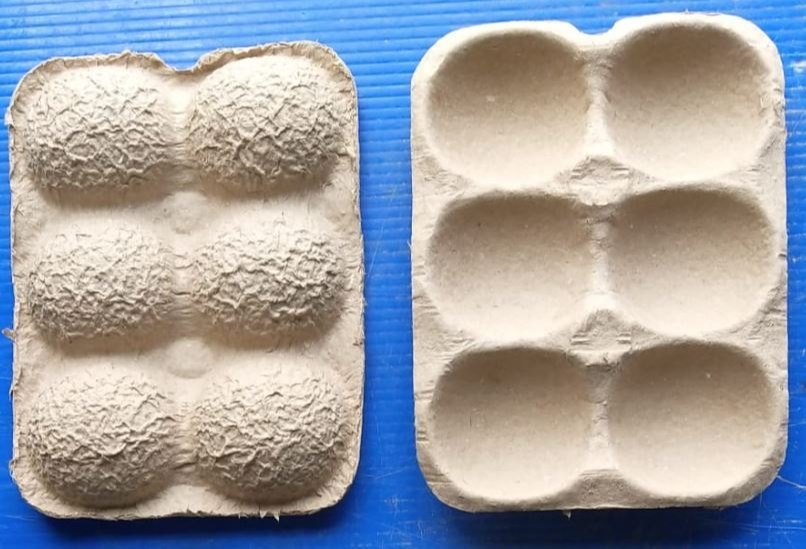 6 Cavity Apple Paper Pulp Trays