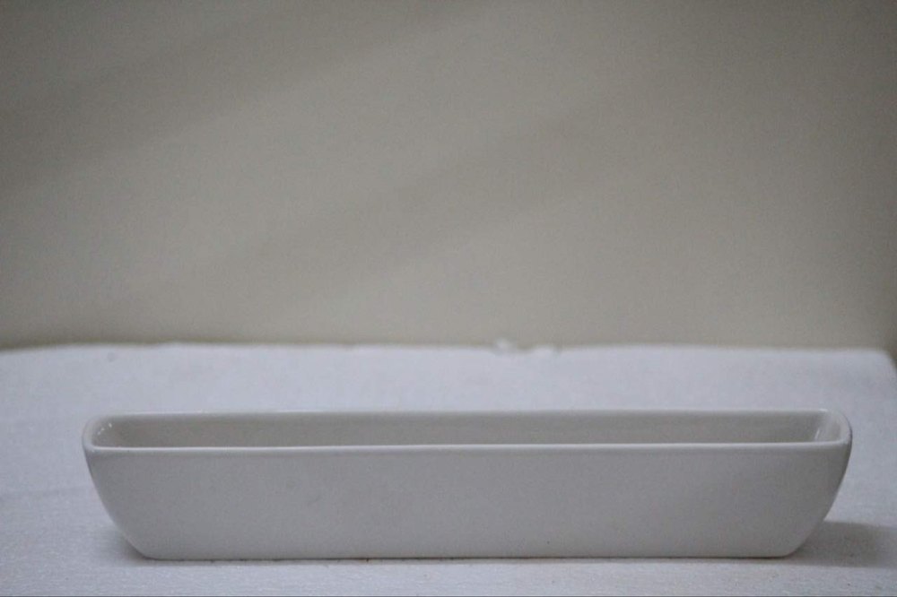 Pots & Plants, White Shining Succulent /Mini Plant Ceramic Tray, Shape: Rectangle, Size: 27.94 X 6.35 X 5.08 Cm