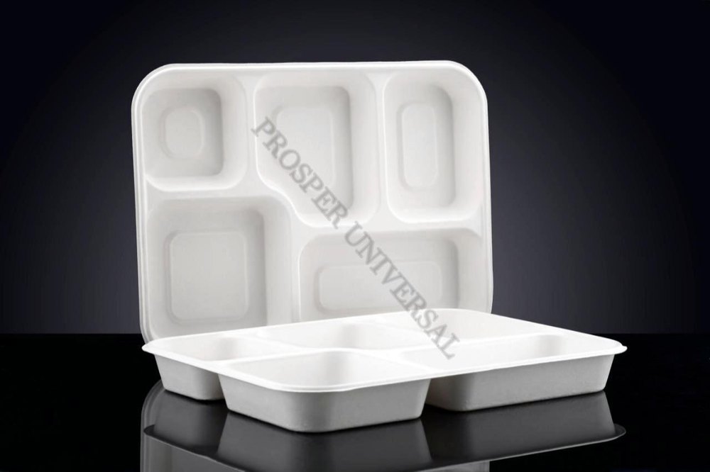 Natural White Plain Biodegradable Sugarcane Bagasse 5 Compartment Plate