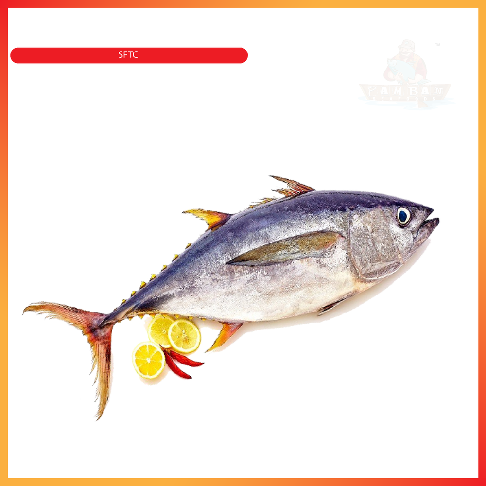 Pamban Seafoods Fresh Soorai Meen - Tuna Fish, Packaging Type: Thermocol Box