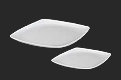 Plastic Rectangular Dinner Plate - Hotel Ware