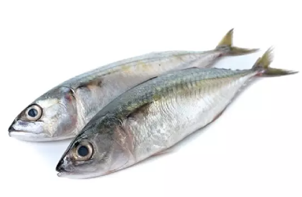 Indian Mackerel Fish, For Restaurant, Packaging Type: Loose