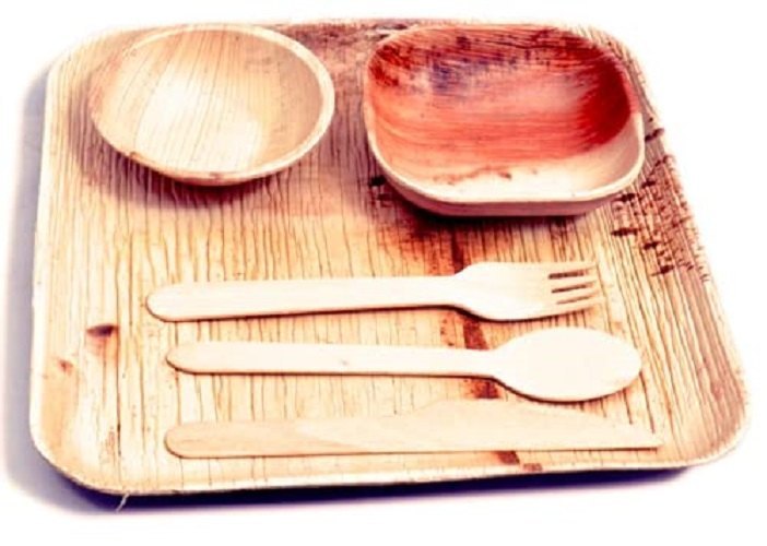 Areca Leaf Plates - 9 Inch Square Plate