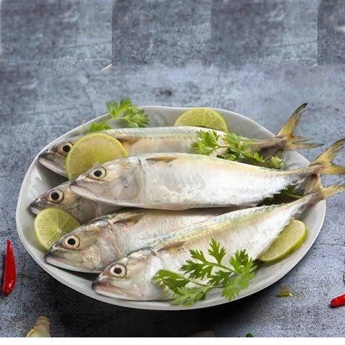 Indian Mackerel Fish , Ayla , Malbari