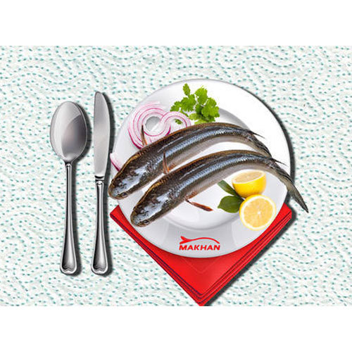 Sole Fish