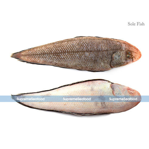 Sole Fish, Usage: Restaurant, Household, Mess