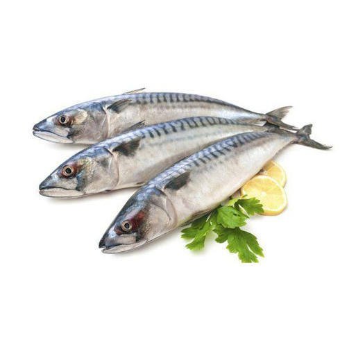 Frozen Mahi Mahi Fillet, For Restaurant, 20 Kg