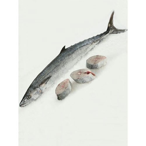 Fresh Surmai Fish, Packaging Type: Box