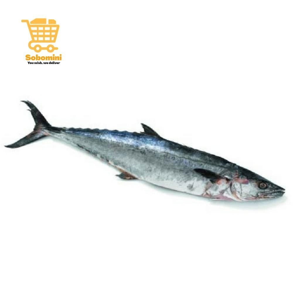 Surmai King Fish