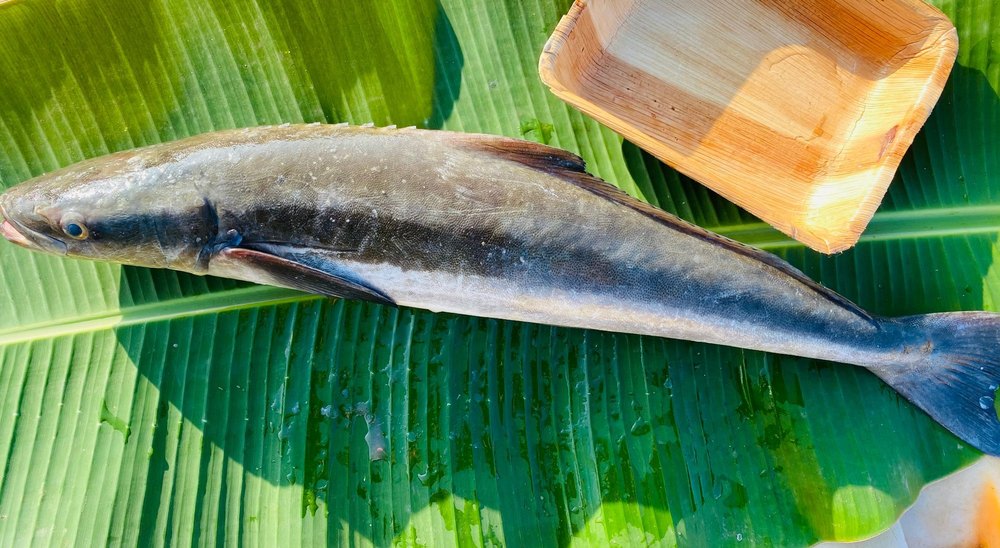 Seer Fresh King Fish