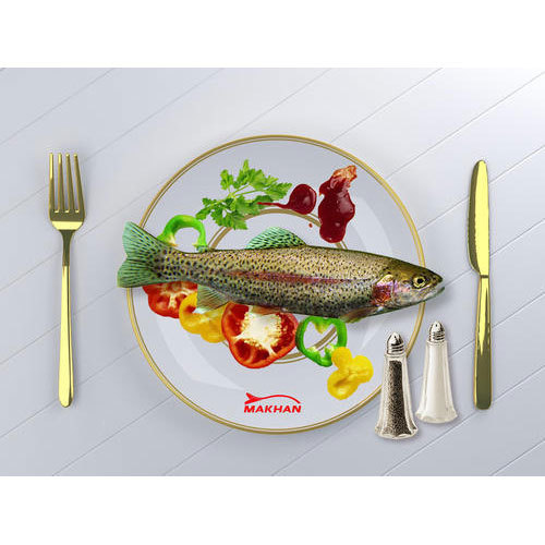 Trout Fish
