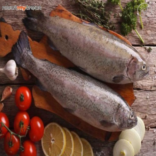 Rainbow Trout