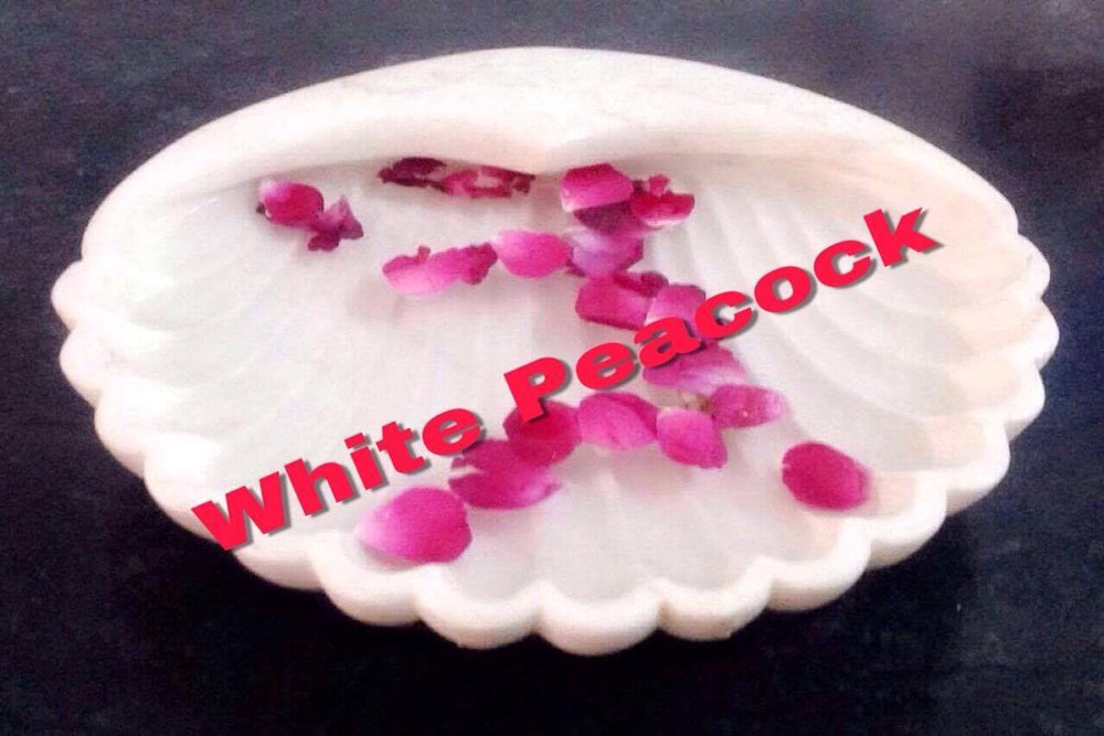 Indoor White Shell Shaped Bowl, Size: 15 Inches