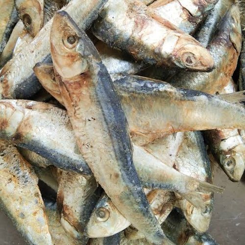 Salai Karuvadu / Sardine Dry Fish / Karuvadu, For Household, Packaging Type: Packet
