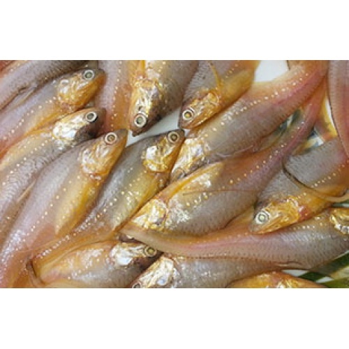 Mandeli Anchovy Fish, Packaging Type: Packet