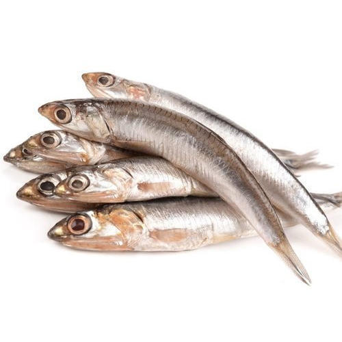 Anchovy Fish, Usage: Restaurant, Household, Mess